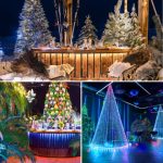 A collage of three images showing a wooden bar with Christmas trees behind it, a bar surrounded by tropical trees with Christmas decorations and an LED Christmas tree